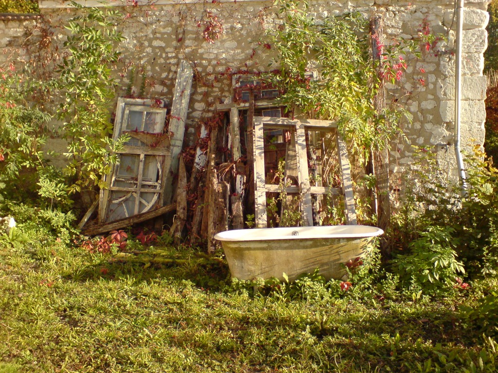 סתיו, שלכת, שמש / פוסטקארד