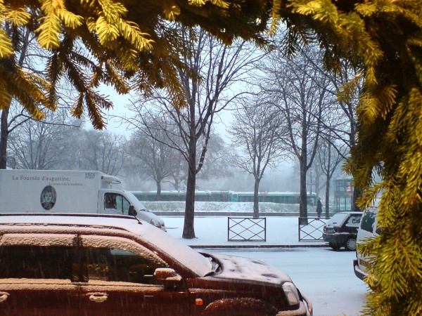 שלג טרי / קטנה פריזאית