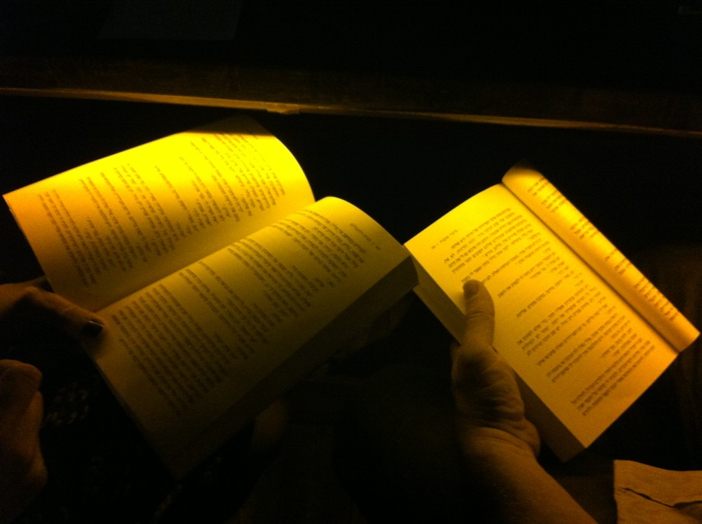 היום הכי טוב בשנה / כנרת רוזנבלום