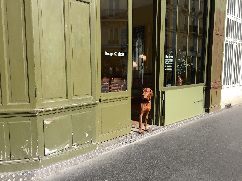 איפה כדאי לגור בפריז? שאלות ותשובות