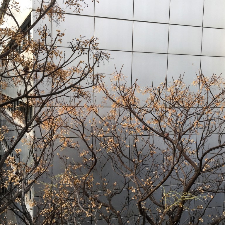 שכונה-פוביה / ארנה קזין