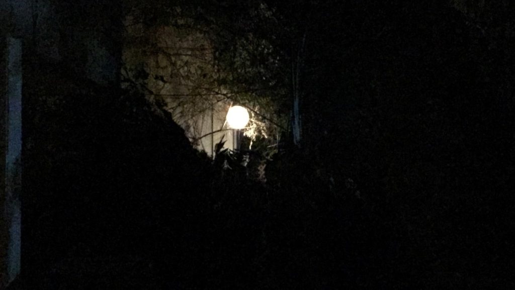 עצי לימון שופעים באברהם לינקולן ושקדים ירוקים בוילסון / יגאל סרנה