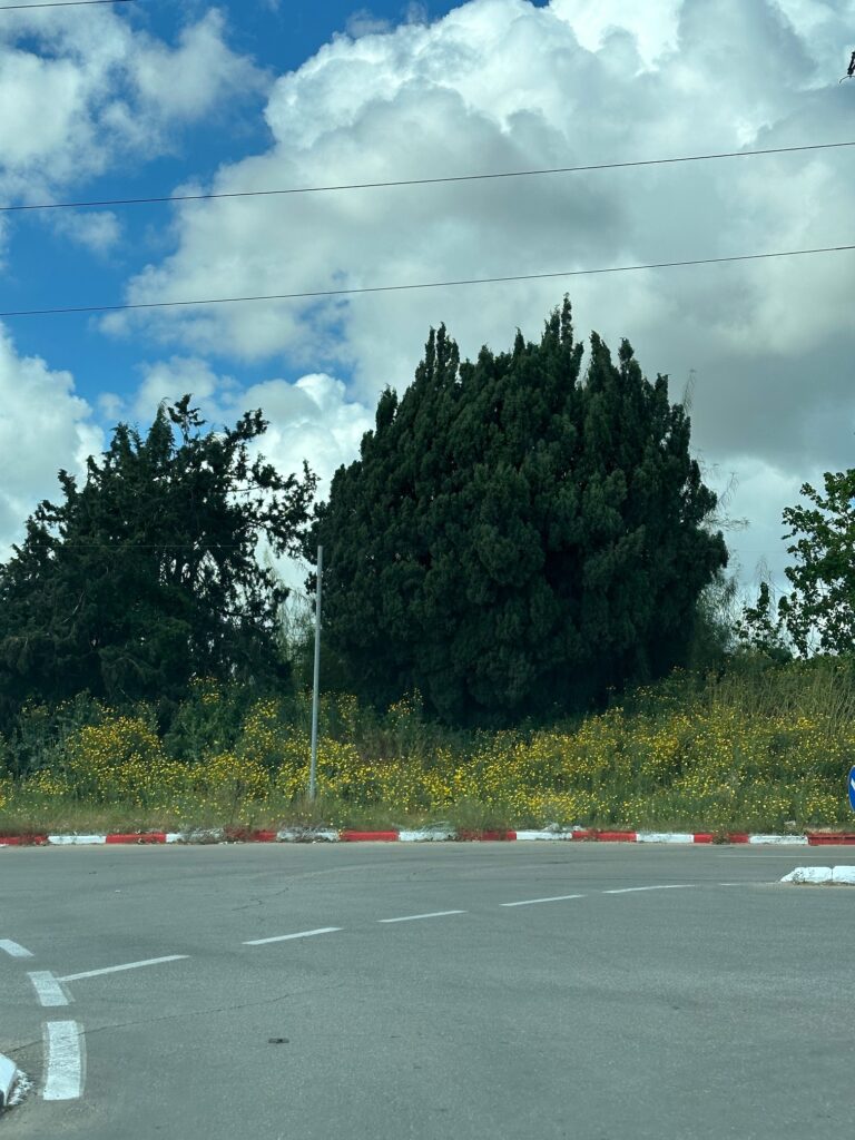 "בני טובים", יומן מסע – החודש הראשון